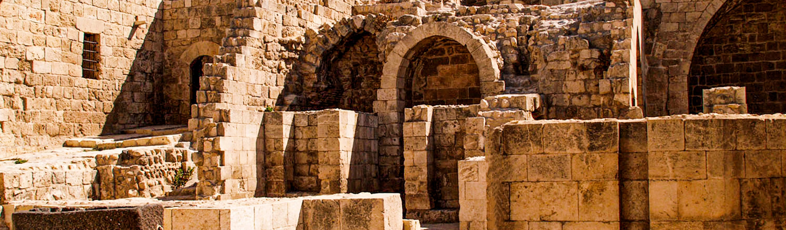 The Two Lineages: Isaac, Ishmael, and God’s Unfolding Plan Through David and Beyond