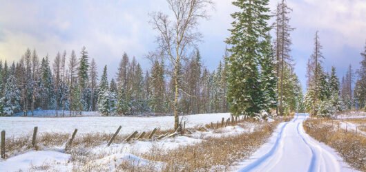 Stuck in a Ditch, But God Had a Better Plan