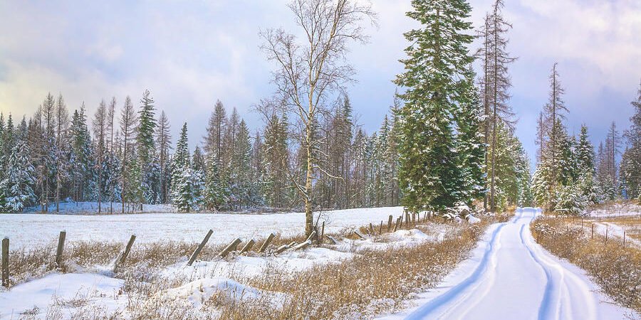 Stuck in a Ditch, But God Had a Better Plan