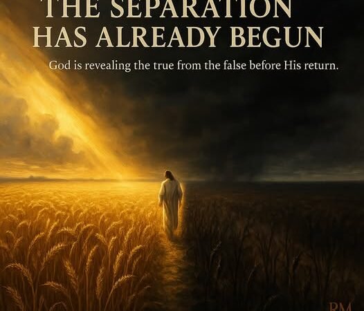 The Book of Revelations